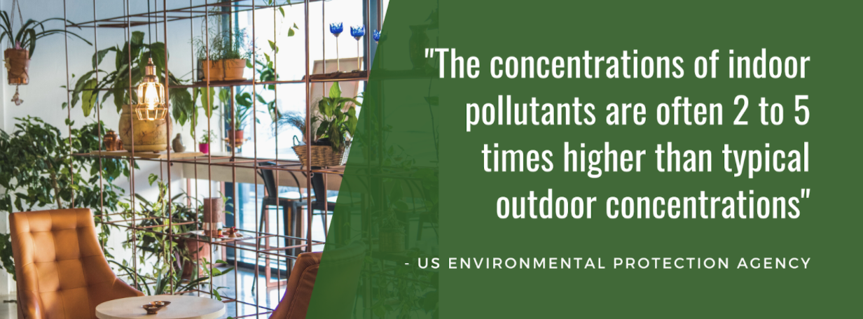 Interior decorated with plants, text overlay "The concentration of indoor pollutants are often 2 to 5 times higher than typical outdoor concentrations"