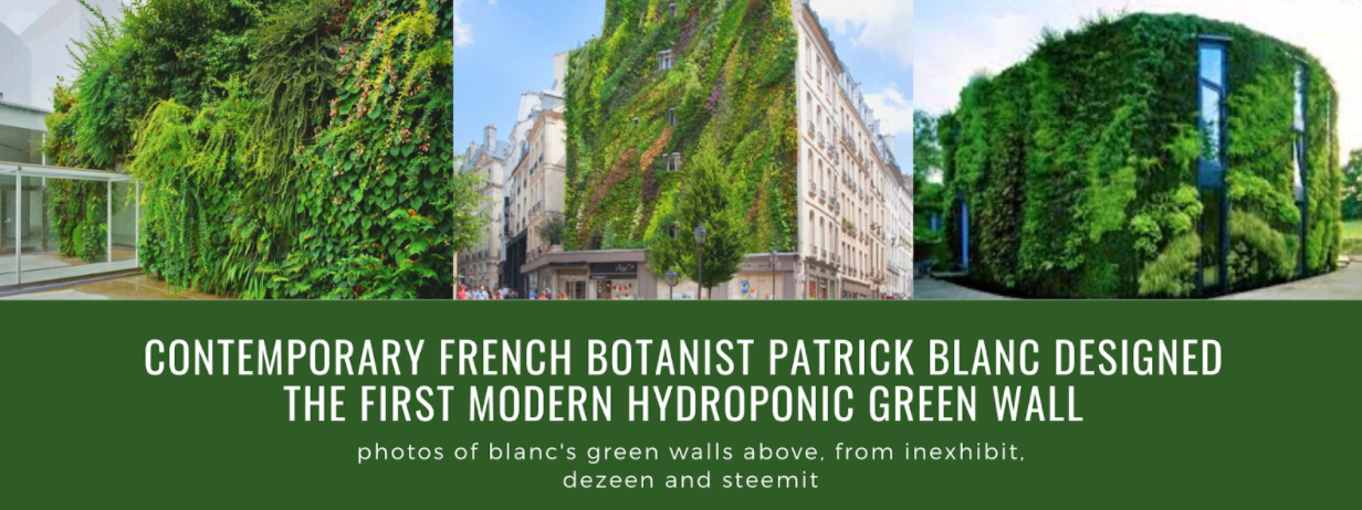 Collage of hydroponic green walls designed by Patrick Blanc