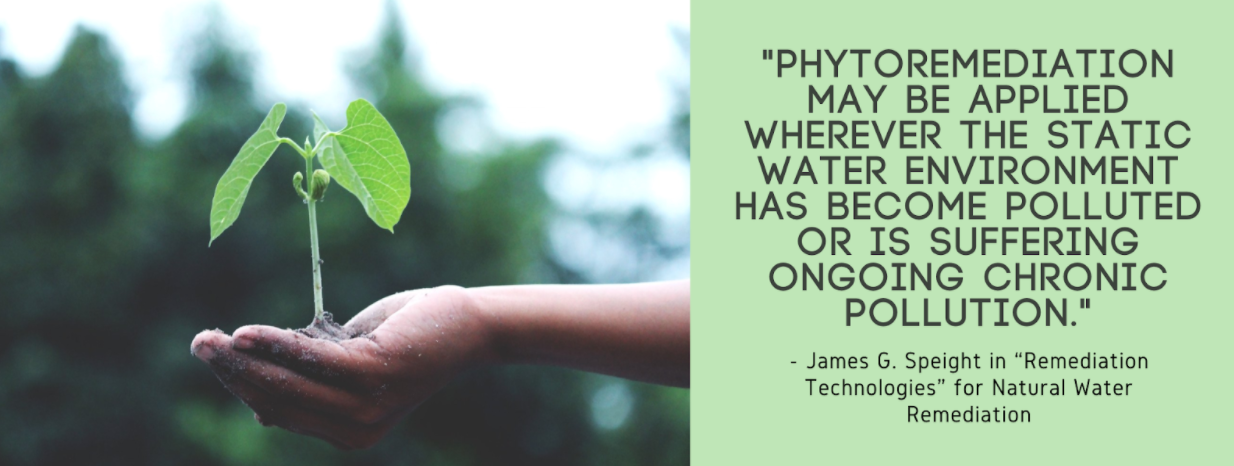 Quote by James G. Speight "Phytoremediation may be applied wherever the static water environment has become polluted or is suffering ongoing chronic pollution"