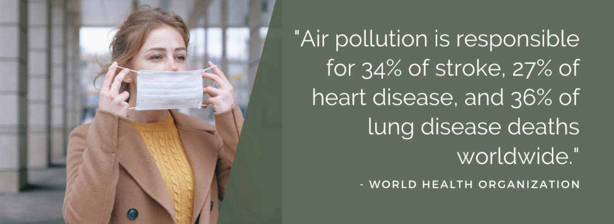 Statistic from World Health Organization "Air pollution is responsible for 34% of stroke, 27% of heart disease, and 36% of lung disease deaths worldwide"