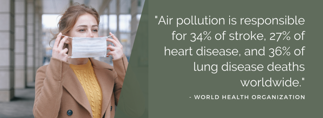 Statistic from World Health Organization "Air pollution is responsible for 34% of stroke, 27% of heart disease, and 36% of lung disease deaths worldwide" 