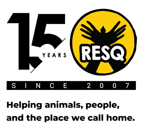 RESQ Chartitable Trust