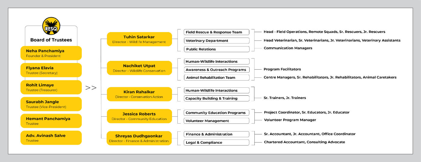 RESQ Organization Chart