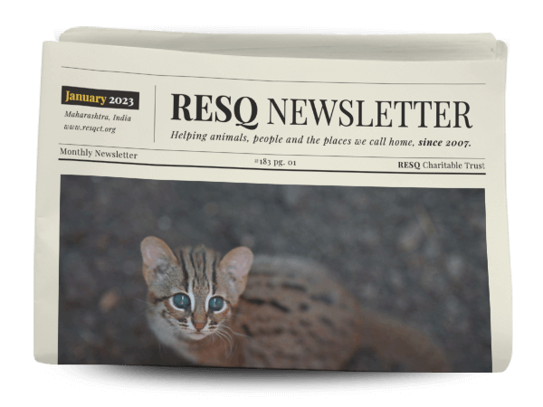 resq newsletter