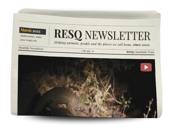 resq newsletter