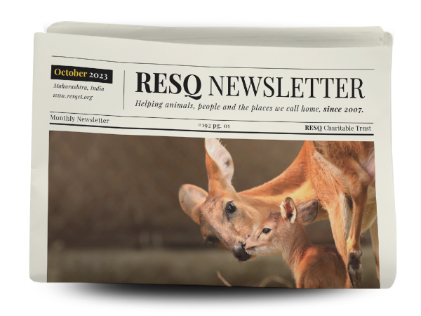 resq newsletter  October 2023