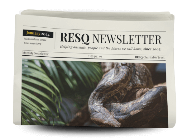 resq newsletter  January 2024