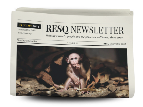 resq newsletter  February 2024