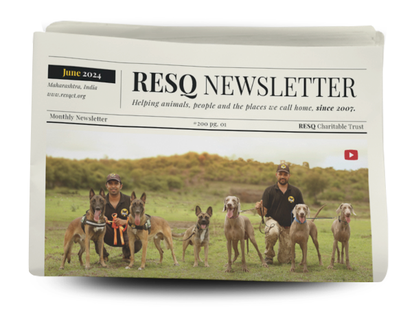 resq newsletter  June 2024