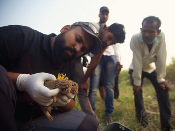 Human-Wildlife Conflict Management