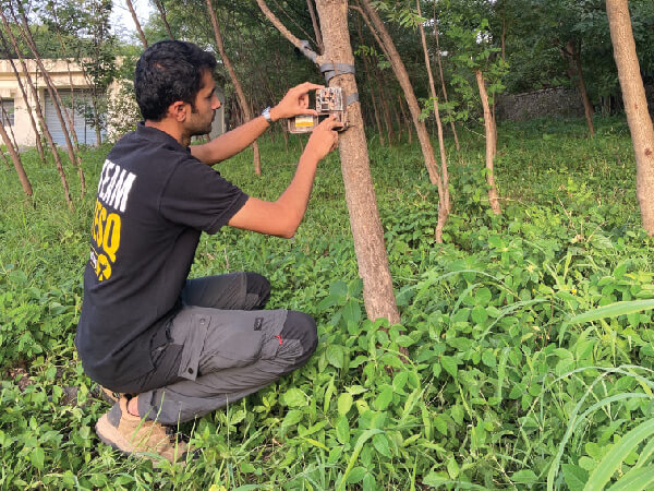 Human-Wildlife Conflict Management