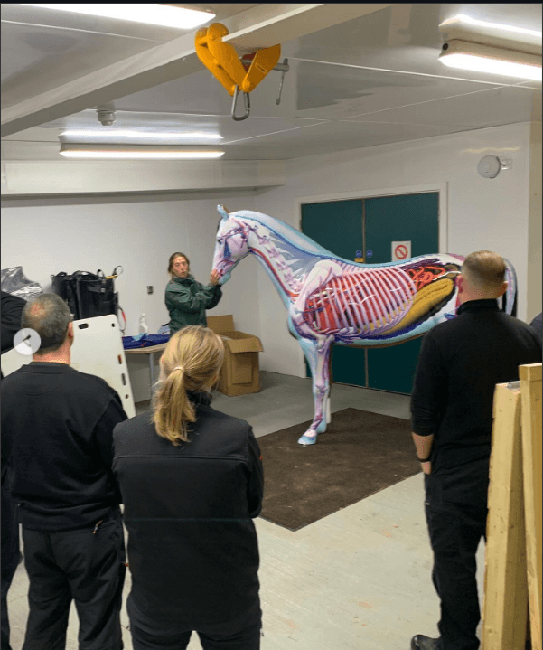 Team Leader Training