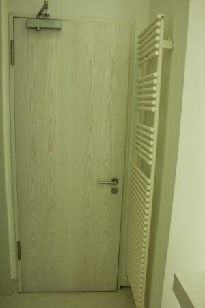 Badezimmertür Holzoptik, Türen, Bad (inkl. Ausbau)