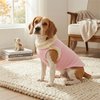 Roupa Carapinha Soft N°18 Fêmea 50x57Cm - imagem 1