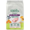Ração Guabi Natural GrainFree para Cães Adultos Raças Médias Sabor Frango e Lentilha  12Kg - imagem 1