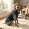 Moletom Eco Pet Sem Capuz Azul Marinho Para Cães Tamanho 12 - imagem 1