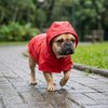  Capa de Chuva Pet'Arts Vermelha para Pets Tamanho PP - imagem 1