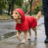  Capa de Chuva Pet'Arts Vermelha para Pets Tamanho G - imagem 1