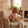 Roupa São Pet em Tecido Soft com Carapinha Tamanho 20 Cor Rosa - imagem 1