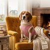 Roupa São Pet em Tecido Soft com Carapinha Tamanho 22 Cor Rosa - imagem 1