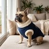 Roupa São Pet em Tecido Soft com Carapinha Tamanho 8 Cor Azul - imagem 1