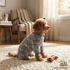 Macacão Pet Microfibra Cores Sortidas Pet'Arts para Cães e Gatos Machos Tamanho M - imagem 1