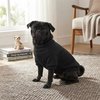 Moletom Eco Pet Sem Capuz Preto Para Cães Tamanho 4 - imagem 1