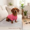 Moletom Eco Pet Sem Capuz Rosa Pink Para Cães Tamanho 1 - imagem 1