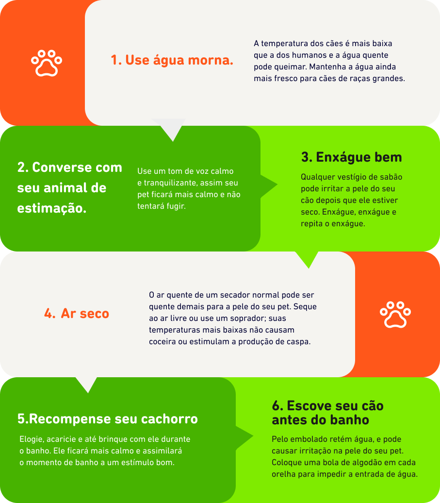 6 dicas importantes para o Pet Wash: 1. Use água morna; 2. Converse com seu animal de estimação; 3. Enxágue bem; 4. Ar seco; 5. Recompense seu cachorro; 6. Escove seu cão antes do banho.