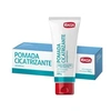 Pomada Ibasa Cicatrizante  100ml - imagem 1