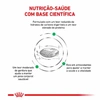 Ração Royal Canin Veterinary Diabetic para Cães Adultos com Diabetes 10,1Kg - imagem 3