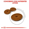 Ração Royal Canin Feline Digestive Care para Gatos Adultos 1,5Kg - imagem 3