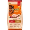 Ração Special Dog Júnior Ultralife para Cães Filhotes Raças Médias e Grandes Sabor Frango e Arroz  15Kg - imagem 1