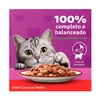 Ração Úmida Whiskas Sachê para Gatos Adultos Sabor Carne ao Molho 85g - imagem 8