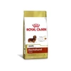 ACC-DACHSHUND ADULT.28 1KG - imagem 1