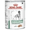 Alimento Úmido Royal Canin Veterinary Diabetic para Cães Adultos 410g  - imagem 1