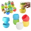 Mini Vaso Giplan Cores Sortidas - imagem 3