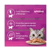 Ração Úmida Whiskas Sachê para Gatos Adultos Sabor Frango ao Molho 85g - imagem 3