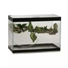 Terrário Aquaterrário com Plataforma 40x19x25cm  - imagem 1