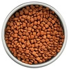 Ração Guabi Natural para Cães Sênior de Porte Mini e Pequeno Sabor Frango e Arroz Integral 2,5Kg - imagem 3