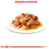 Alimento Úmido Royal Canin Mini Sachê para Cães Adultos Raças Pequenas 85g - imagem 3