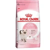 Ração Royal Canin Feline Health Nutrition Kitten para Gatos Filhotes  1,5Kg  - imagem 1