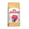 Ração Royal Canin Kitten Persian para Gatos Filhotes 1,5Kg  - imagem 1
