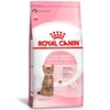 Ração Royal Canin para Gatos Filhotes Castrados de 6 a 12 Meses 1,5Kg - imagem 1