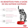 Ração Royal Canin para Gatos Filhotes Castrados de 6 a 12 Meses 1,5Kg - imagem 4