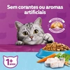 Ração Whiskas para Gatos Adultos Castrados Sabor Peixe 10,1Kg - imagem 3
