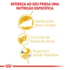 Ração Royal Canin Persian para Gatos Adultos 7,5Kg - imagem 3