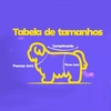 CAPA VERAO XG - imagem 3