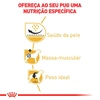 Ração Royal Canin para Cães Adultos da Raça Pug 7,5Kg - imagem 2