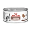 Alimento Úmido Royal Canin Veterinary Recovery para Cães e Gatos  195g  - imagem 1